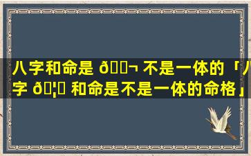 八字和命是 🐬 不是一体的「八字 🦆 和命是不是一体的命格」